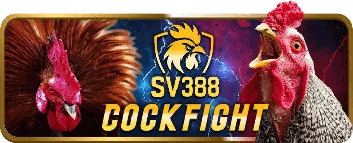 Liên hệ hỗ trợ khách hàng big79 APK